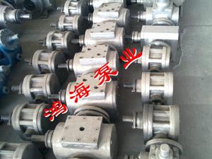 不銹鋼圓弧泵-不銹鋼圓弧保溫泵-圓弧齒輪泵