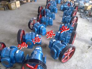 羅茨泵-稠油泵-羅茨油泵-導(dǎo)熱油泵