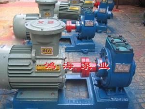 滑片泵-YPB滑片泵-化工離心泵