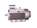 低電壓大功率電機-大功率電機