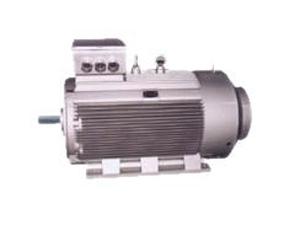 低電壓大功率電機-大功率電機