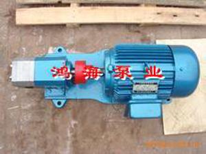 不銹鋼外潤滑泵-外潤滑泵