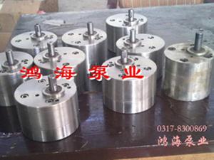 不銹鋼泵-小流量不銹鋼泵