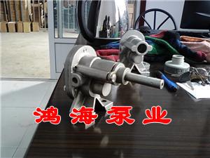 食品泵-微型不銹鋼食品泵