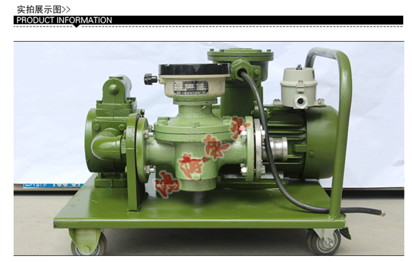 <b>防爆計量抽油泵</b>