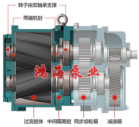 泊頭市鴻海泵業<strong />HTLB<b>凸輪轉子泵</b></strong> / <strong>無堵塞排污泵</strong> / <strong>高粘度轉子泵</strong>